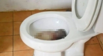 the-dead-body-of-the-boy-was-found-in-the-school-toilet