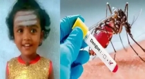 3-year-old-girl-dies-of-dengue-fever