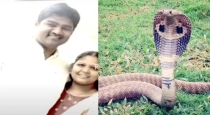tragedy-the-wife-who-killed-her-husband-with-a-snake-sh