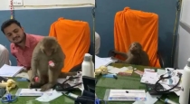Monkey-visits-hospital-saharanpur
