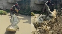American-man-pulls-alligator-tail-viral-video-6CSPHW