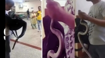 Snake-in-bag-jaipur-hospital-incident