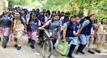 Tirunelveli-temple-festival-school-holiday-july8