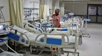 Children-poisoned-after-eating-seeds-near-veppanapalli-