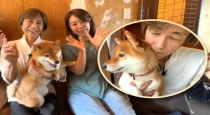 Dog-saves-japanese-businessman-life-change