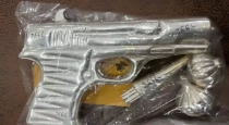 Silver-gun-garlic-offering-savariya-seth-temple