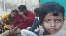 venomous-caterpillar-attack-child-death-chengalpattu