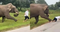 bandipur-elephant-attack-kerala-tourist-escapes