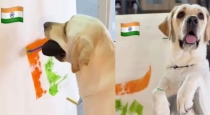 patriotic-dog-paints-tricolor