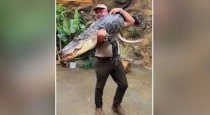 california-man-carrying-alligator-video-viral