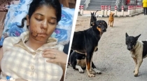 kanpur-student-dog-attack