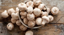 how-to-clean-mushroom-properly