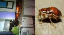 korea-cockroach-fire-accident-news