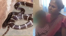 pudukottai-snakebite-girl-survives