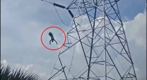 youth-jumps-from-electric-tower-telangana-shock-inciden