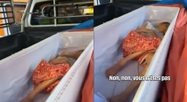 thai-woman-found-alive-in-coffin