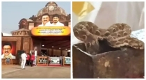 Tamilnadu-cm-stalin-nellai-event-snake-incident