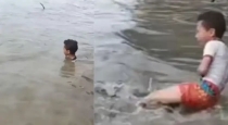 Child-picks-live-crocodile-viral-video
