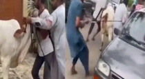 Karachi-cow-dragging-incident-viral-video