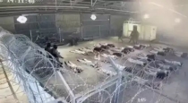 Sde-teiman-detention-camp-torture-case-israel-soldiers-