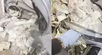 Cash-found-inside-second-hand-dryer-viral-video