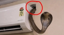 Gujarat-valsad-ac-three-snakes-shock