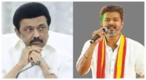 Gayathri-srinivas-joins-tvk-from-dmk
