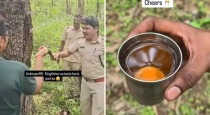 Kali-tiger-reserve-saj-tree-water-video-viral