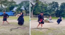 Cobra-chases-woman-during-instagram-reels-dance