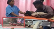 Four-school-students-killed-in-car-accident-near-mannar