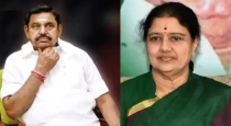Sasikala-aiadmk-reentry-political-moves