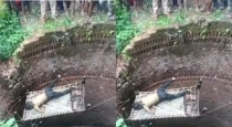 Uttar-pradesh-teen-girl-body-found-in-well-sonbhadra
