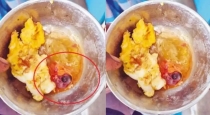 Thoothukudi-anganwadi-rotten-egg-investigation