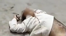 Up-bjp-leader-nanak-ram-burji-dies-after-fall