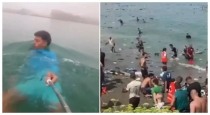 Morocco-ceuta-swim-video-viral