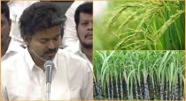 Tn-paddy-sugarcane-incentive-hike-farmers