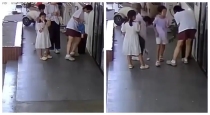 China-women-steal-plant-cctv-video