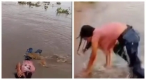 crocodile-climbs-on-woman-in-river