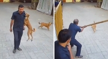 Mumbai-school-gate-stray-dog-attack-cctv-viral