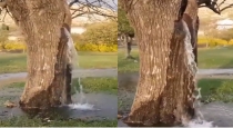 tree-gushing-water-montenegro-dinosa-village-since-1990
