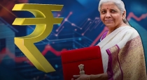 budget 2025 tax based price hike and reducing items list 