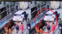 Uttar Pradesh Noida Minor Girl Attack by Bull 