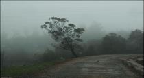 Ooty Rain Roads Blocked due to Land Slides 