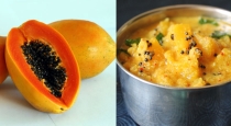 how-to-make-delicious-papaya-joint
