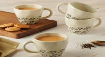Ceramic Tea Cups Safety Can Drinking Tea in Ceramic Cups Harm Your Health? Doctors Explain