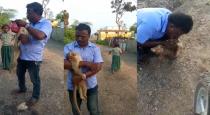 Perambalur Near Area Driver Prabhu Saves Monkey Life 