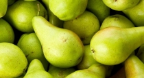 Sweet juicy gritty textured fruit Benefits Tamil 