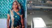 Rajasthan Pregnant Women Died Accident 