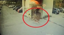 Pune Dog Attack Video 