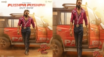 Pushpa 2  The Rule Movie Song 